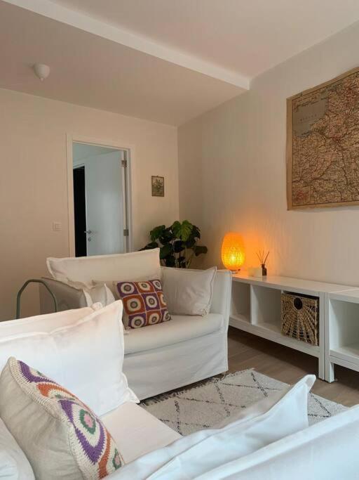 Cozy Studio In Centre Of Old Town Antwerpen Kültér fotó